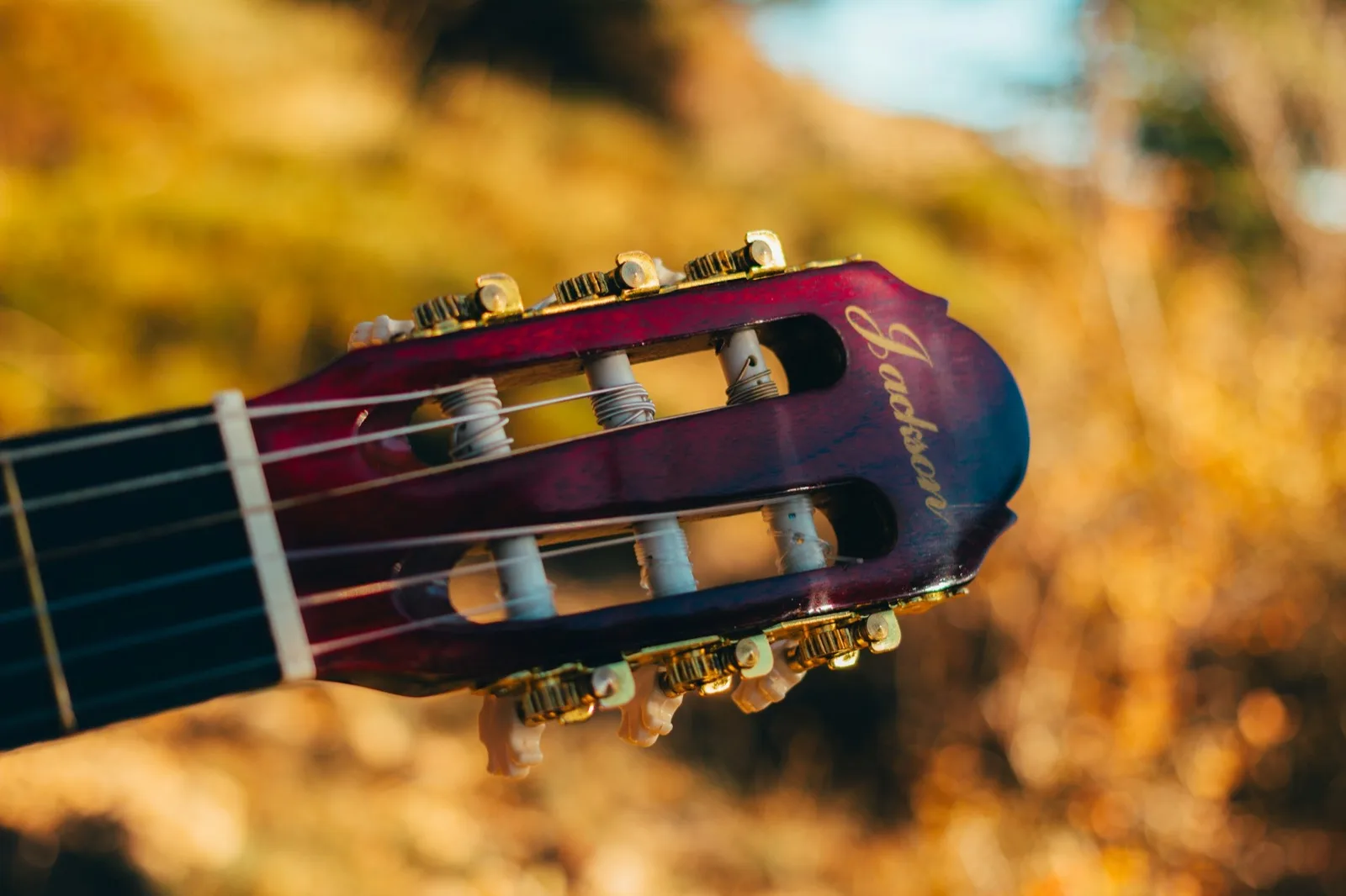 A guitar headstock in close focus, the tuning pegs catching the light